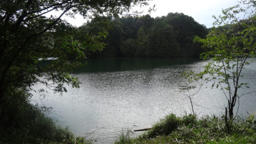 Dsc07421 お池