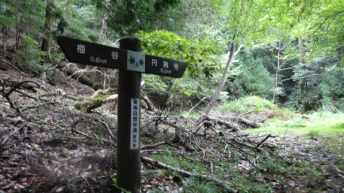 Dsc07429_2 道しるべ