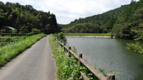 Dsc07516 中田池