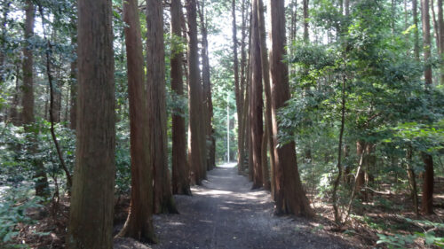 Dsc07543 天満神社