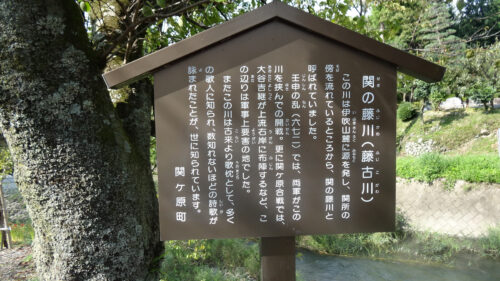 Dsc07566 関の藤川