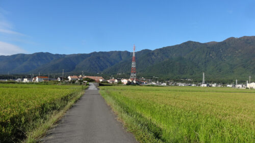 Dsc07607 田んぼ路