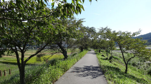 Dsc07614 藤古川沿い
