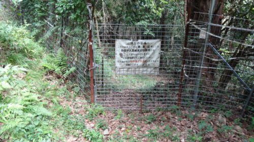 Dsc07626 猪・鹿・猿等の防護柵