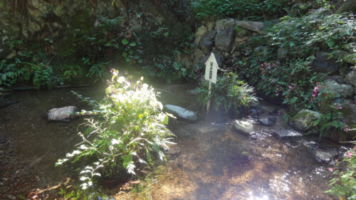 Dsc07684 養老の滝 菊水泉