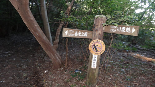 Dsc07708 道しるべ