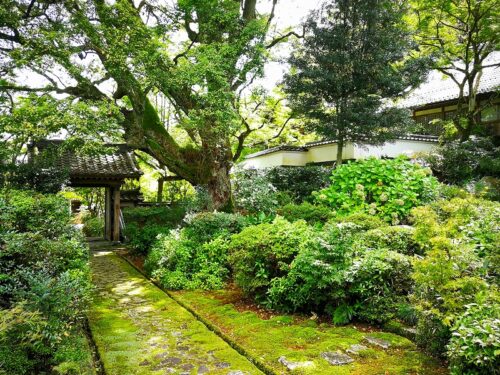 Img_20180917_133313 円興寺