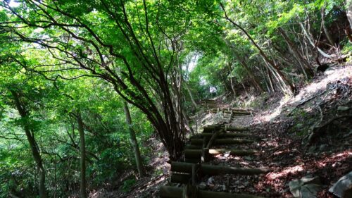 山道歩き