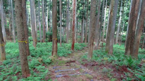 山道歩き