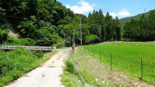 林道
