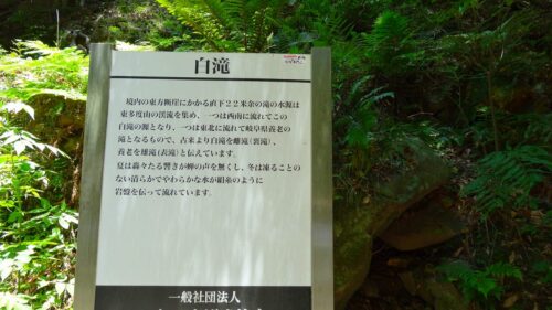白滝