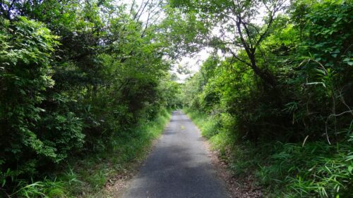 ゴルフ場に隣接する林道