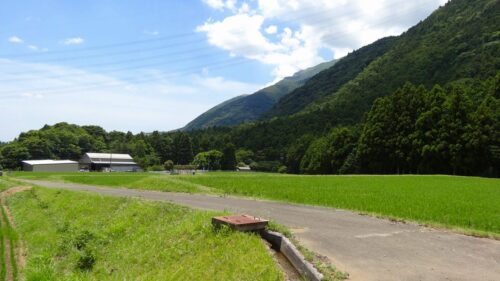 国道365合流