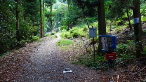 直進藤原岳への登山道路
