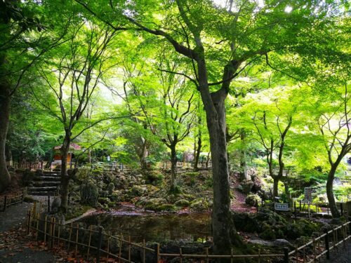 聖宝寺境内