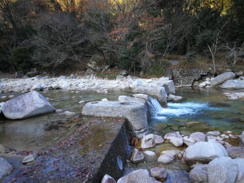 朝明川の飛び石