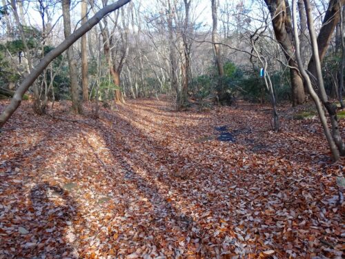 山道歩き