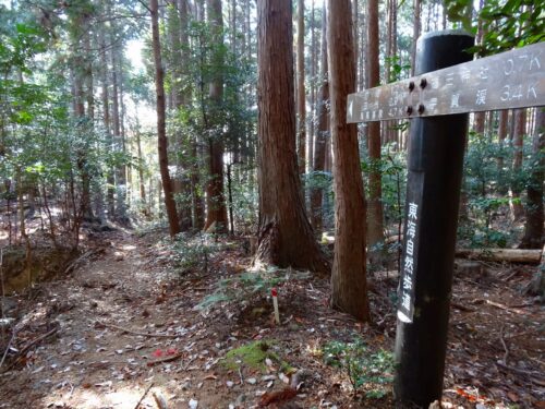 道しるべ