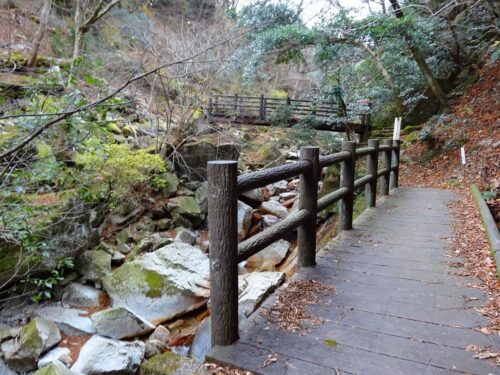 沢沿い