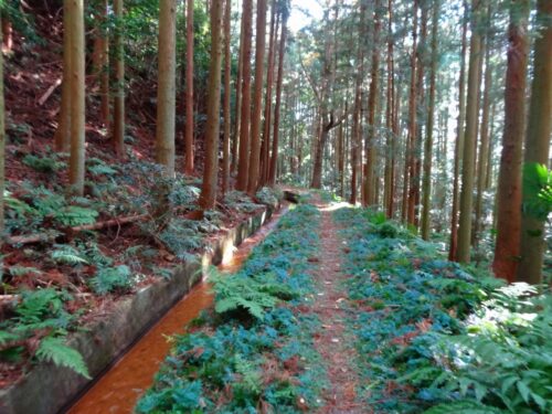 瀬戸用水路