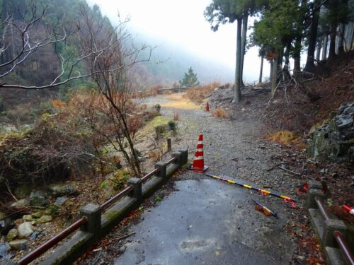 舗装林道に合流