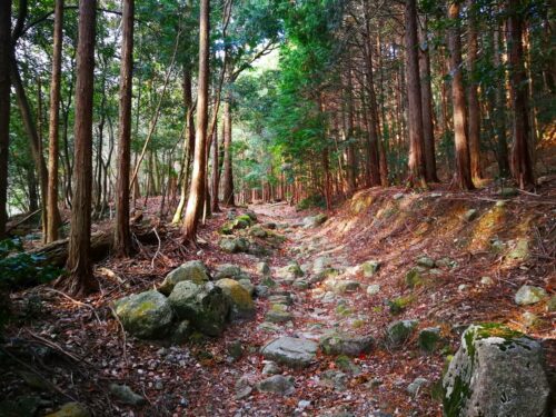 山道歩き