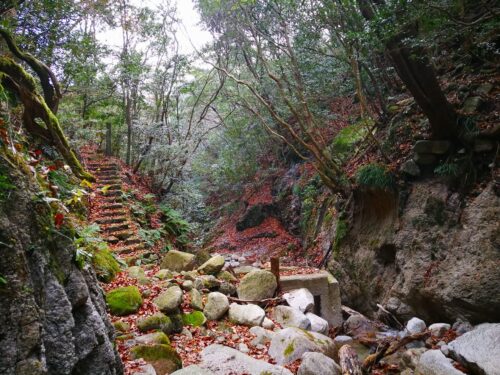 山道歩き