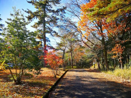  県民の森