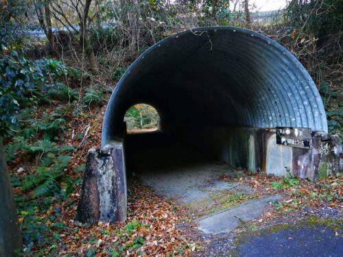 道路下をくぐり抜けて