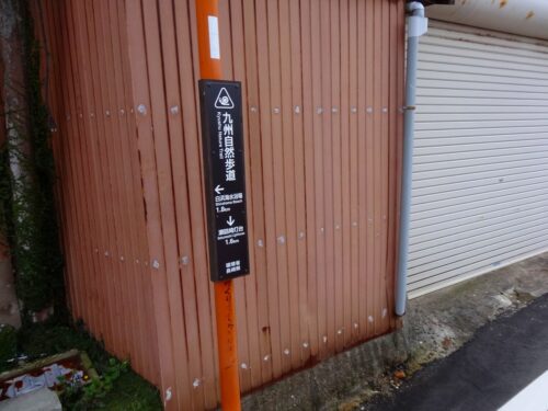野向地区