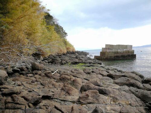 玄武岩の海岸線を歩く
