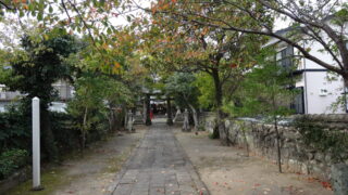Thumbnail of post image 121
