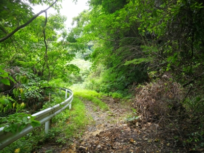 林道権現神社