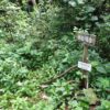 井樋ノ尾岳407m