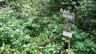 井樋ノ尾岳407m
