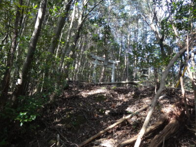 金比羅神社の鳥居