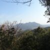 矢上普賢岳