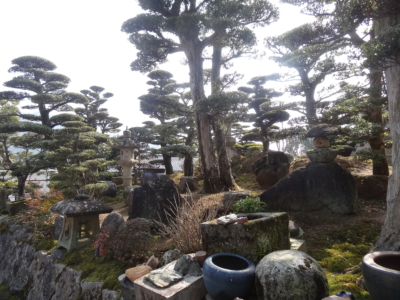 植木の里