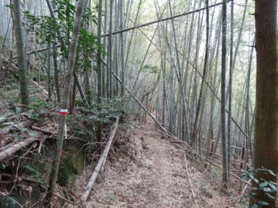 始め東陵あるき、その後中尾峠までは西陵コース