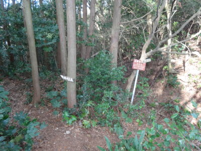 中尾峠　奥山への分岐