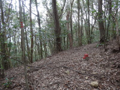 現川と前岳～新田頭の分岐点