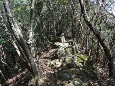 尾根沿いに、やせ尾根を越える烏帽子岳へ