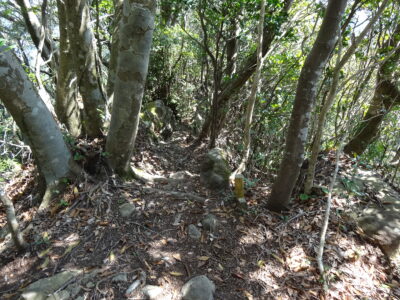 狭い尾根道の下りは、横尾方面に続く