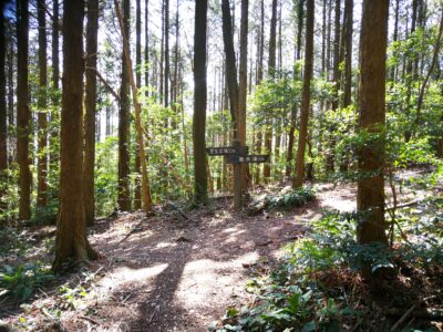 時津方面の登山口駐車場へ下る