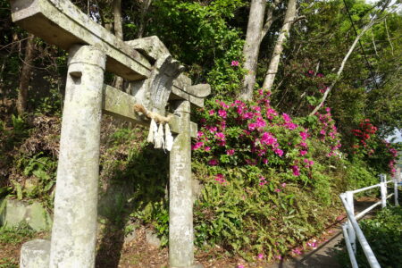金比羅神社の鳥居/金比羅岳へ登り口
