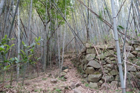 途中から、道荒れる