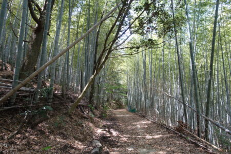 日見新道を彦山登山口へ
