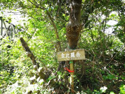 金比羅岳278ｍ
展望台からの眺望望めない