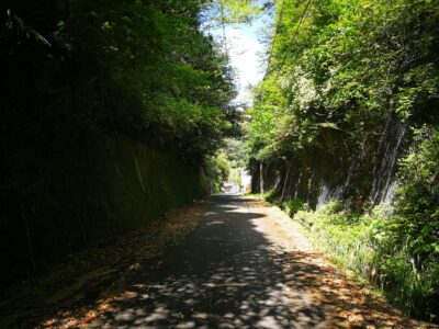 日見新道