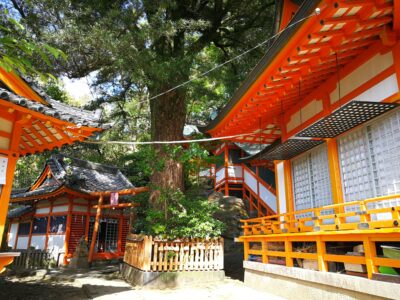 若宮稲荷神社